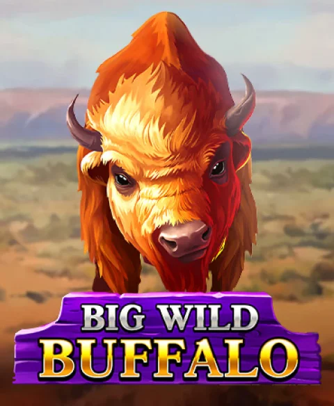 Play Big Wild Buffalo at Spin Rollz Casino